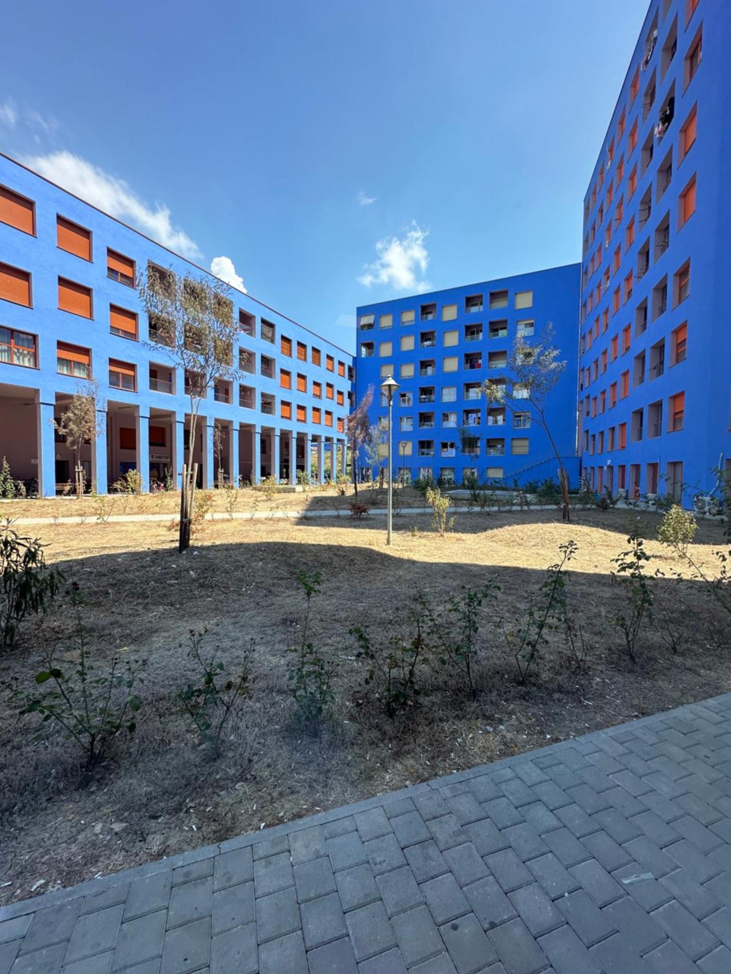 Sunflower Apartment Тирана Экстерьер фото